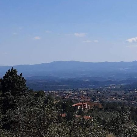منزل الضيف Villa Bensi  في Agrifarm La Corte المظهر الخارجي الصورة